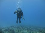 Hawaii Scuba divng 23