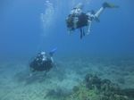 Hawaii Scuba divng 24