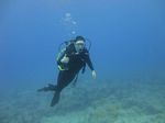 Hawaii Scuba divng 25