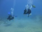 Hawaii Scuba divng 29