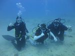 Hawaii Scuba divng 36