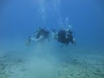 Hawaii Scuba divng 38