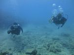 Hawaii Scuba divng 39