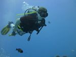 Hawaii Scuba divng 48