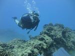 Hawaii Scuba divng 49