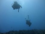 Hawaii Scuba divng 57