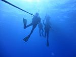 Hawaii Scuba divng 10