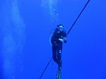 Hawaii Scuba divng 19