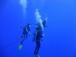 Hawaii Scuba divng 20