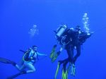 Hawaii Scuba divng 22