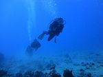 Hawaii Scuba divng 30