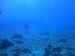 Hawaii Scuba divng 32