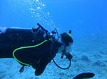 Hawaii Scuba divng 33