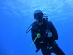 Hawaii Scuba divng 43