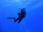 Hawaii Scuba divng 44