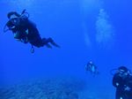 Hawaii Scuba divng 46