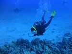 Hawaii Scuba divng 48