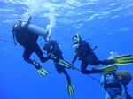 Hawaii Scuba divng 53