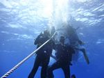 Hawaii Scuba divng 08