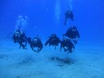 Hawaii Scuba divng 11