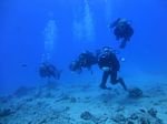 Hawaii Scuba divng 12