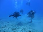 Hawaii Scuba divng 15