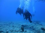 Hawaii Scuba divng 16