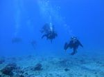 Hawaii Scuba divng 17