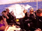 Hawaii Scuba divng 01