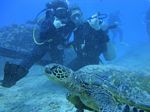 Hawaii Scuba divng 21