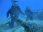 Hawaii Scuba divng 23