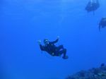 Hawaii Scuba divng 27