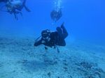 Hawaii Scuba divng 29