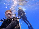 Hawaii Scuba divng 37