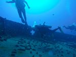 Hawaii Scuba divng 39