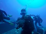 Hawaii Scuba divng 47