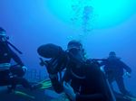 Hawaii Scuba divng 48