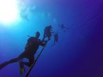 Hawaii Scuba divng 56