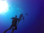 Hawaii Scuba divng 57