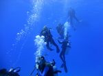 Hawaii Scuba divng 07