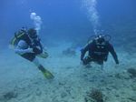 Hawaii Scuba divng 11