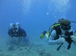 Hawaii Scuba divng 15