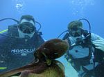 Hawaii Scuba divng 21