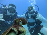 Hawaii Scuba divng 22