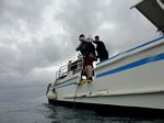 Hawaii Scuba divng 31