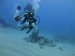 Hawaii Scuba divng 38