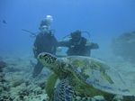 Hawaii Scuba divng 58