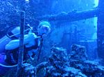 Honolulu scuba 15