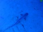 Honolulu scuba 02