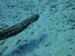 Honolulu scuba 65